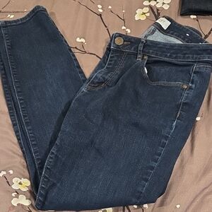 LOFT Dark Blue Women's Skinny Jeans